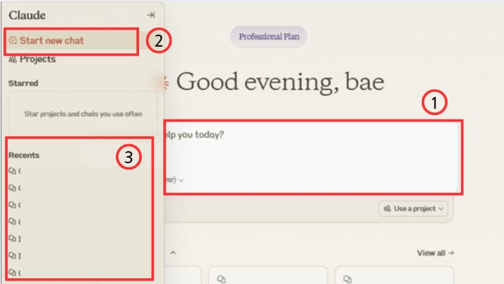 claude.ai 기본 인터페이스
