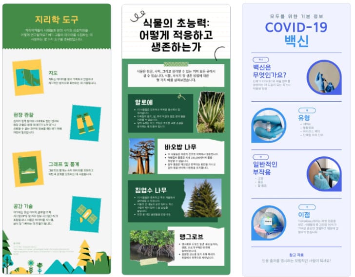 정보형 인포그래픽 (canva 템플릿)